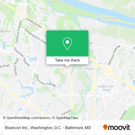 Blueicon Inc. map