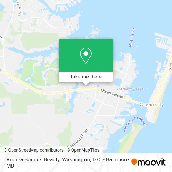 Andrea Bounds Beauty map