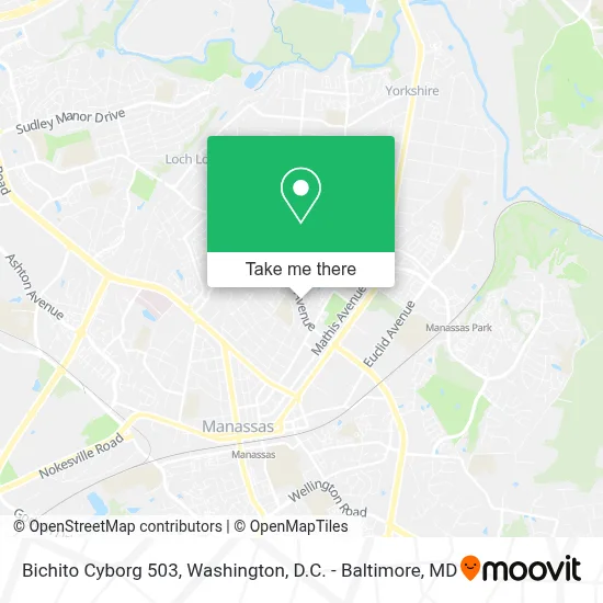 Bichito Cyborg 503 map