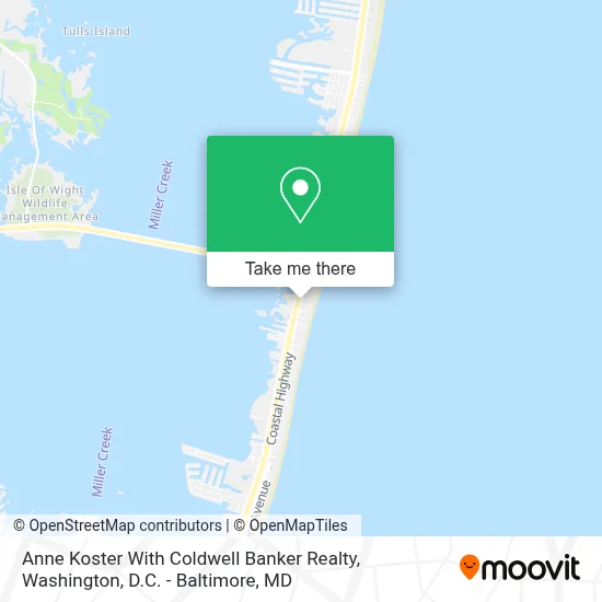 Anne Koster With Coldwell Banker Realty map