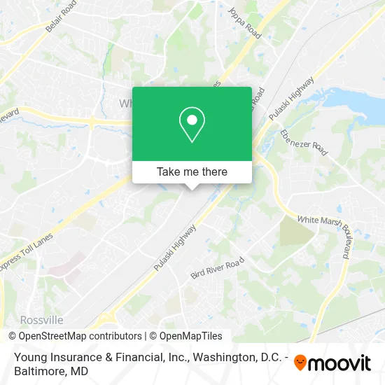 Young Insurance & Financial, Inc. map