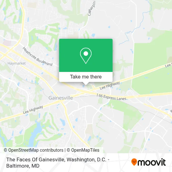 The Faces Of Gainesville map