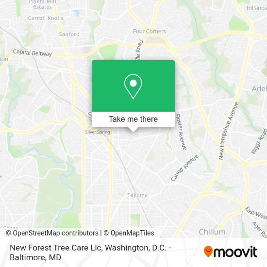 New Forest Tree Care Llc map