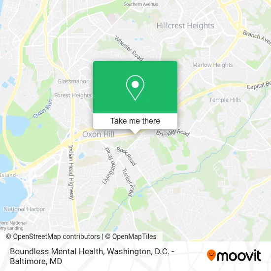 Boundless Mental Health map