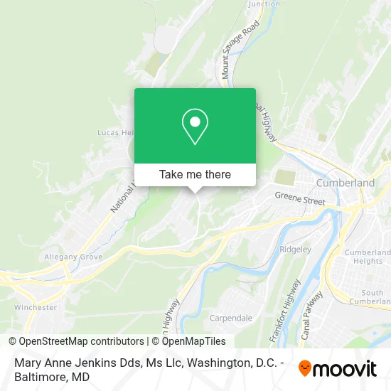 Mary Anne Jenkins Dds, Ms Llc map