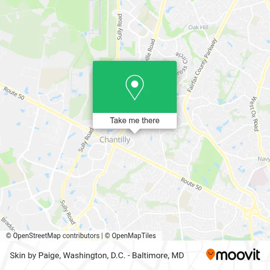 Skin by Paige map