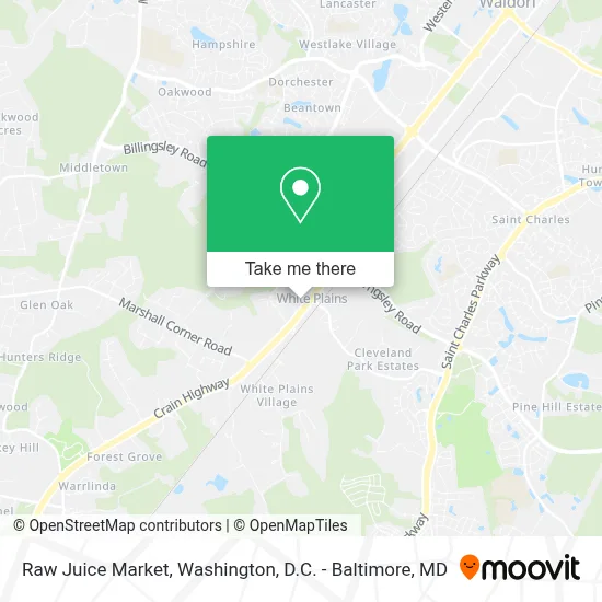 Raw Juice Market map