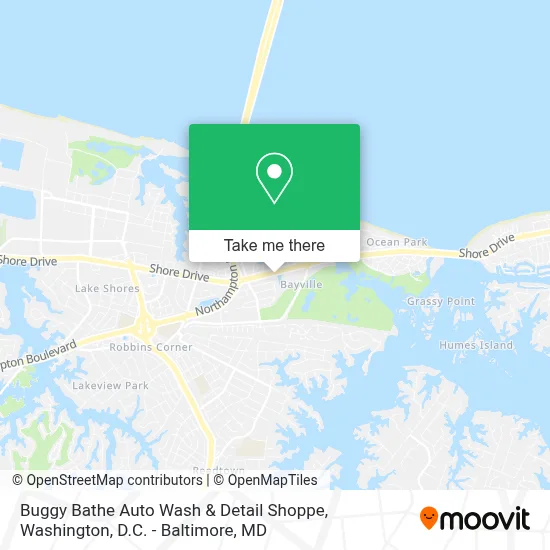 Buggy Bathe Auto Wash & Detail Shoppe map