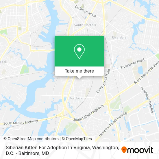Siberian Kitten For Adoption In Virginia map