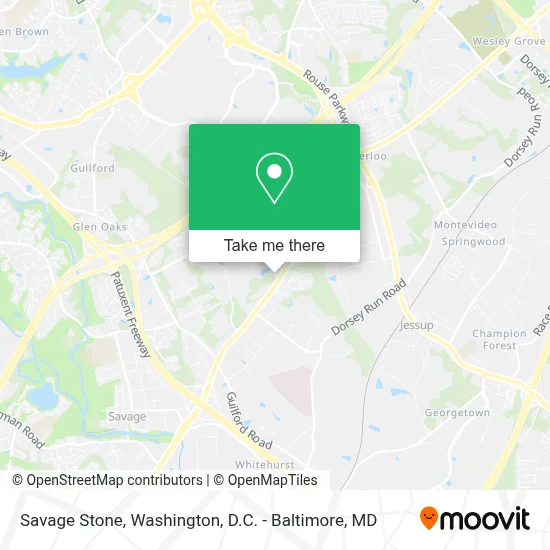 Savage Stone map