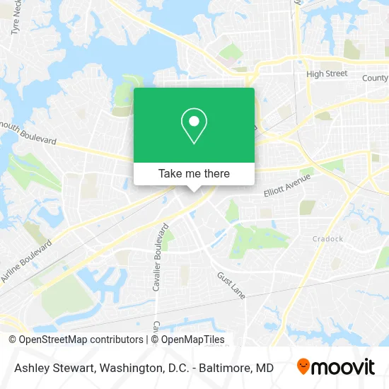 Ashley Stewart map