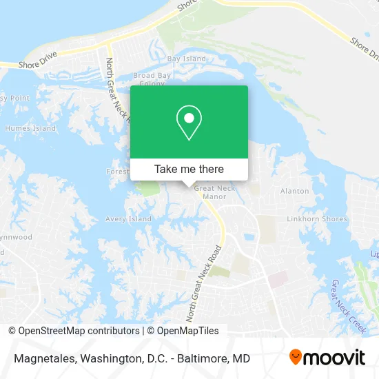 Magnetales map