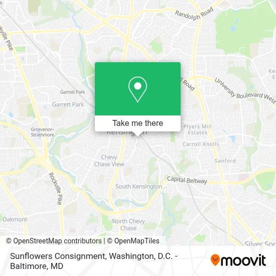 Sunflowers Consignment map
