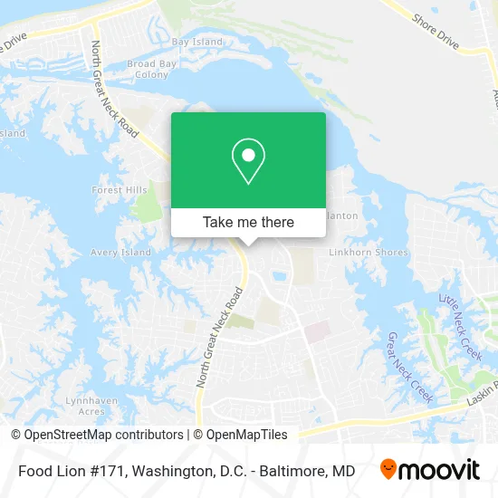 Food Lion #171 map