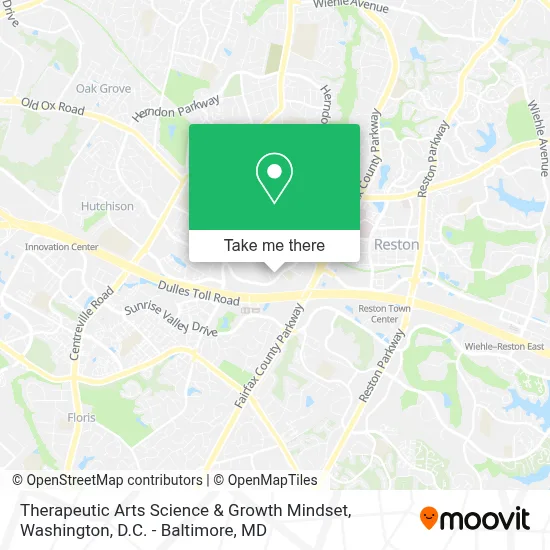 Therapeutic Arts Science & Growth Mindset map