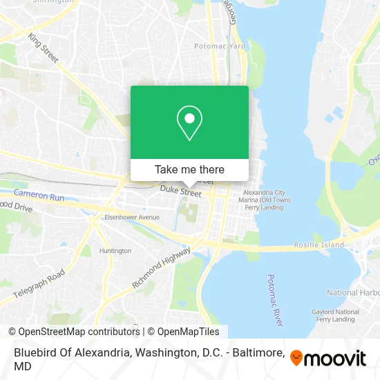 Bluebird Of Alexandria map