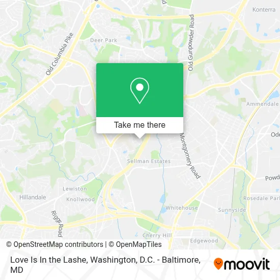 Love Is In the Lashe map