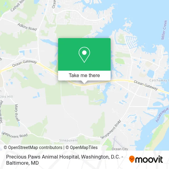Precious Paws Animal Hospital map