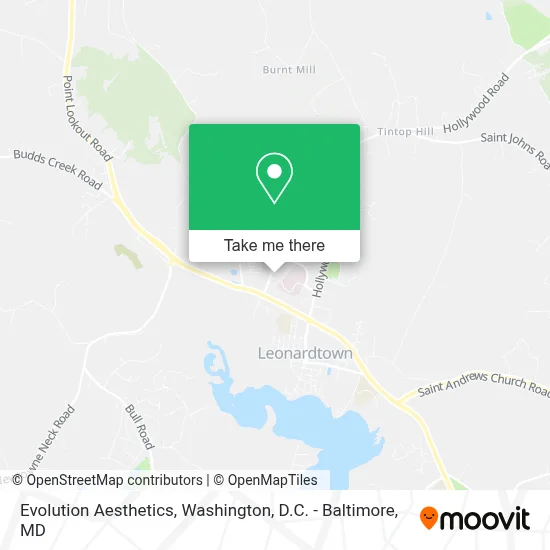 Evolution Aesthetics map