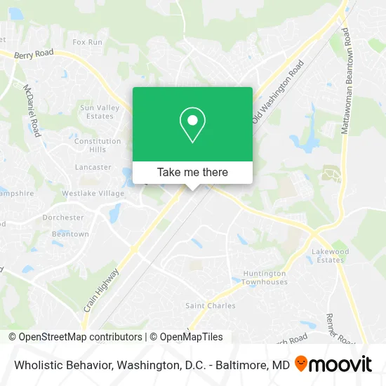 Wholistic Behavior map