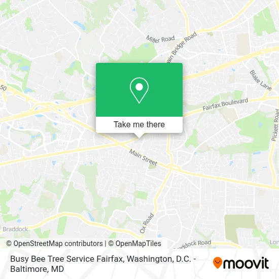 Busy Bee Tree Service Fairfax map