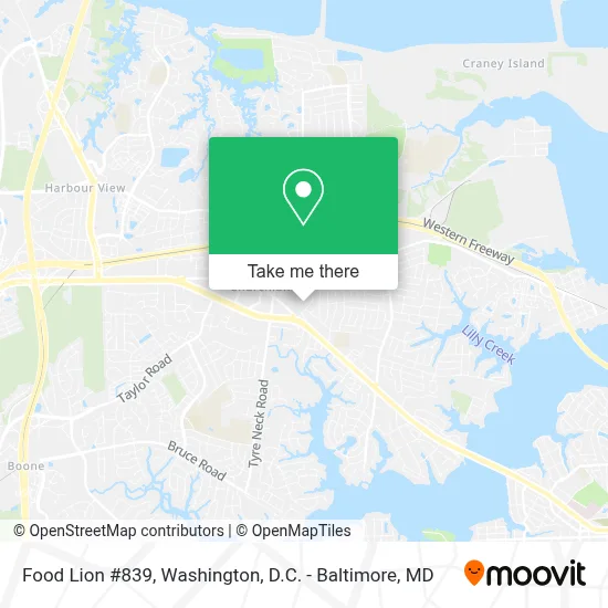 Food Lion #839 map