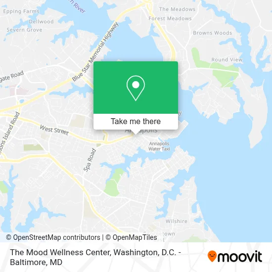 The Mood Wellness Center map