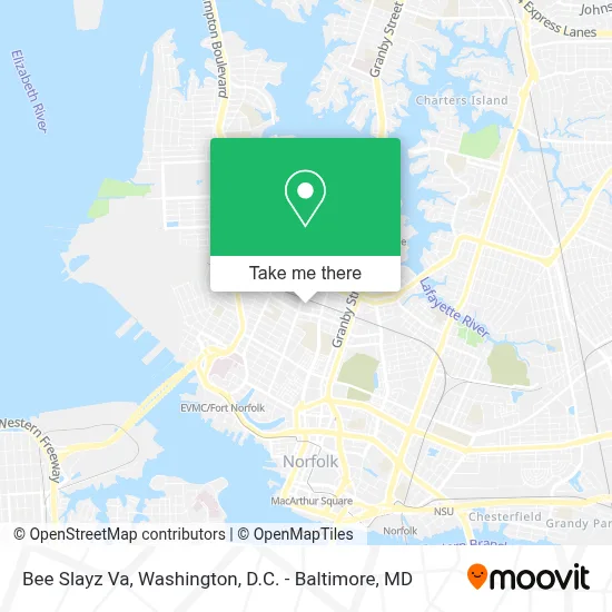 Bee Slayz Va map