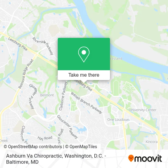 Ashburn Va Chiropractic map