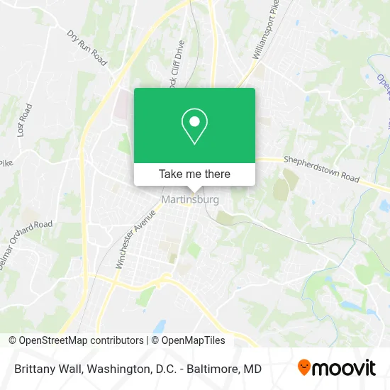 Brittany Wall map