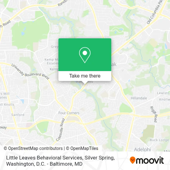 Little Leaves Behavioral Services, Silver Spring map