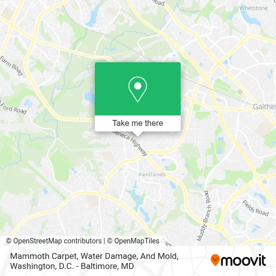 Mammoth Carpet, Water Damage, And Mold map