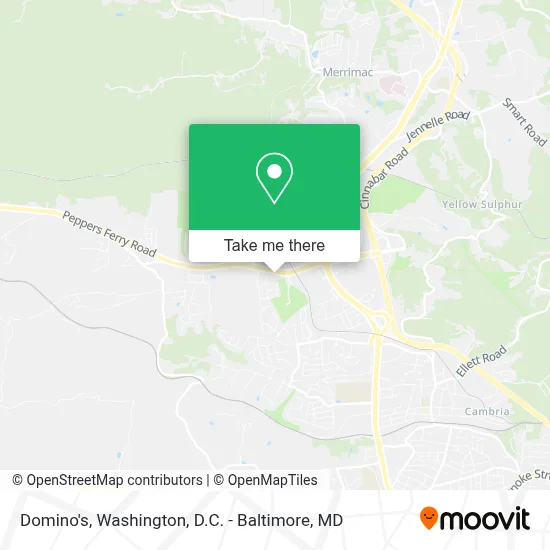 Domino's map