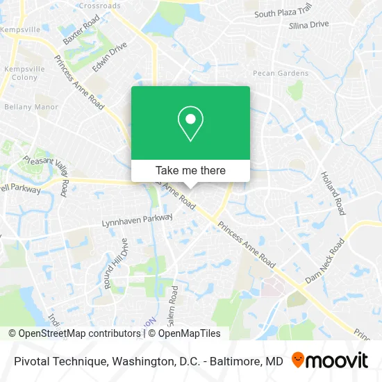 Pivotal Technique map