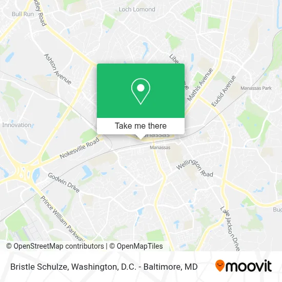 Bristle Schulze map