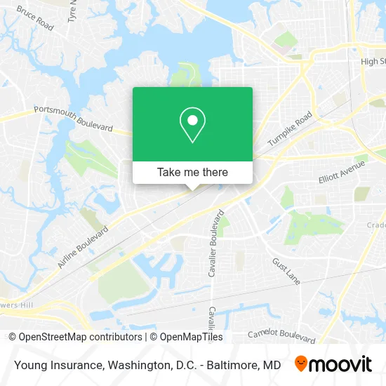 Young Insurance map