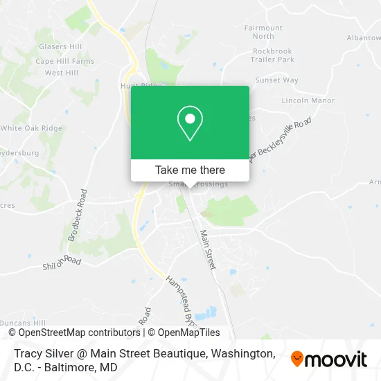 Tracy Silver @ Main Street Beautique map