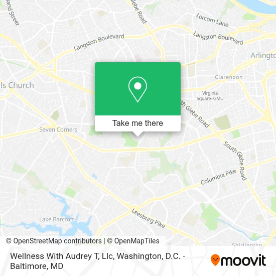 Wellness With Audrey T, Llc map