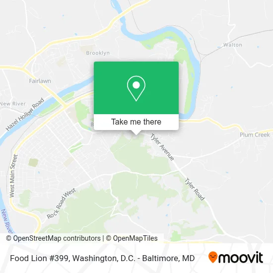 Food Lion #399 map