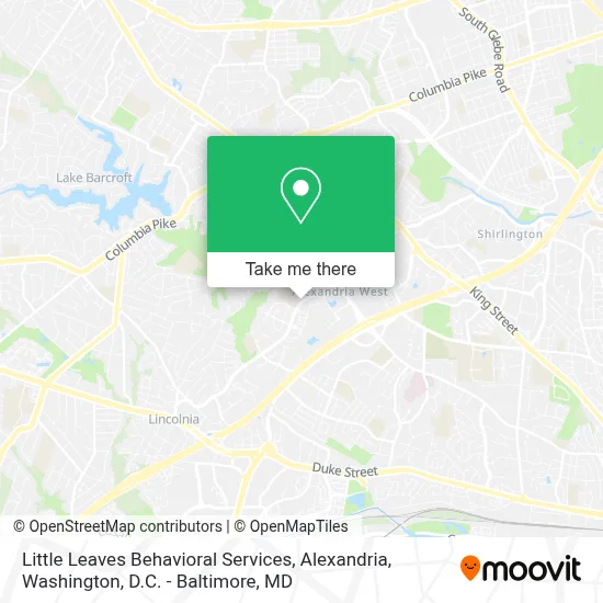 Little Leaves Behavioral Services, Alexandria map