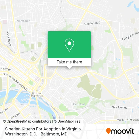 Siberian Kittens For Adoption In Virginia map