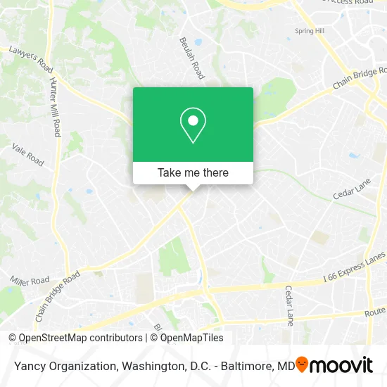 Yancy Organization map