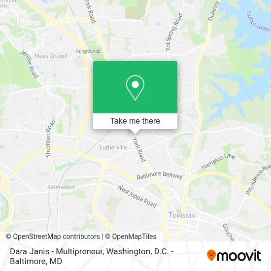 Dara Janis - Multipreneur map