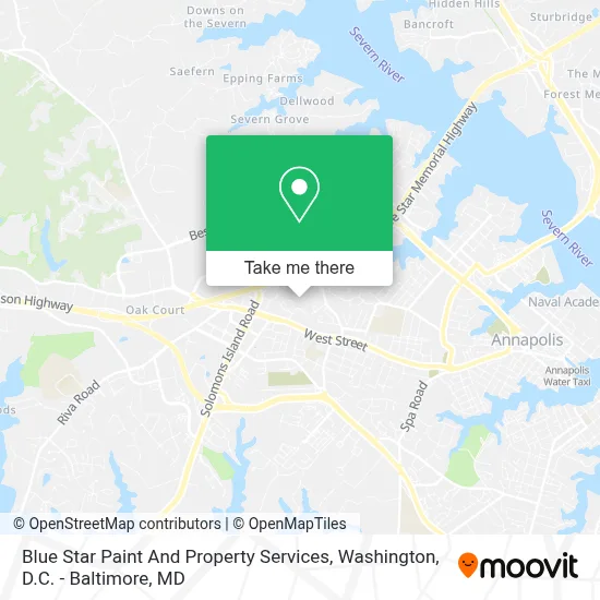 Blue Star Paint And Property Services map