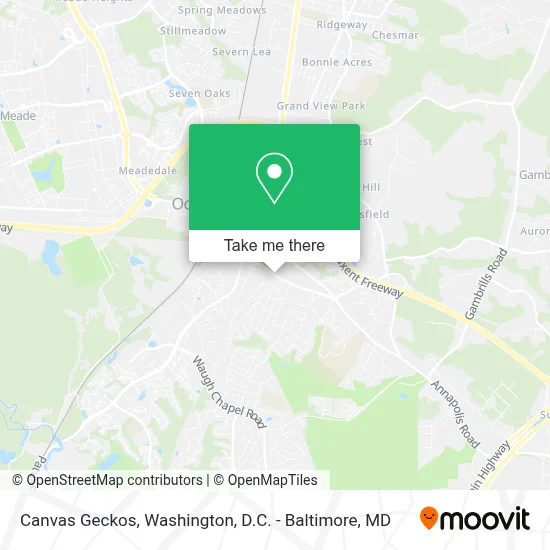 Canvas Geckos map