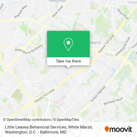 Little Leaves Behavioral Services, White Marsh map