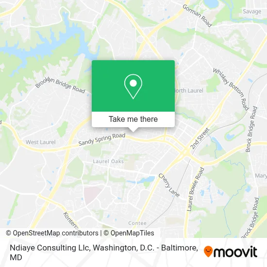 Ndiaye Consulting Llc map