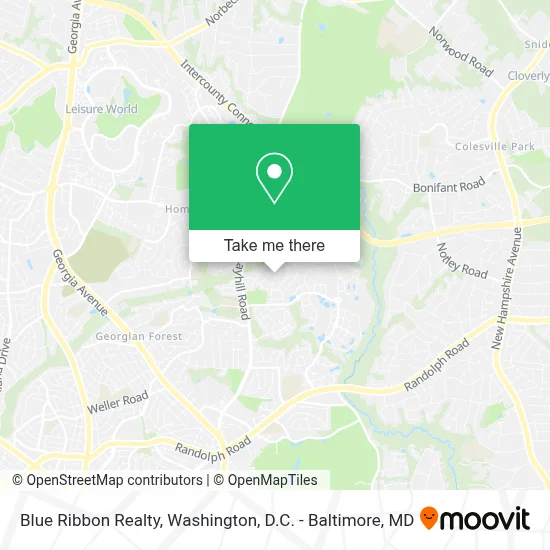 Blue Ribbon Realty map