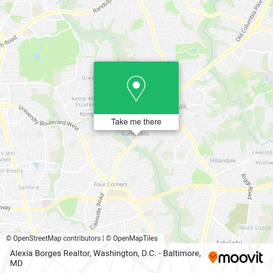 Alexia Borges Realtor map
