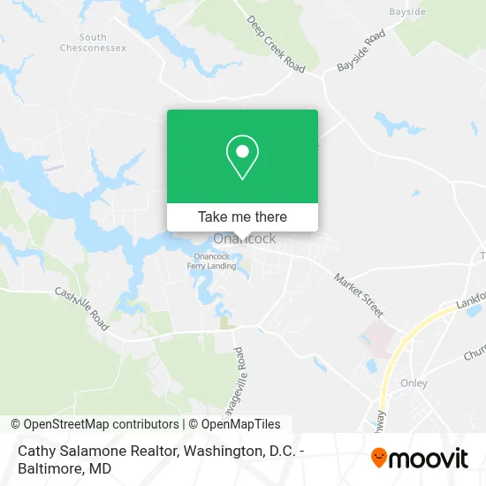 Cathy Salamone Realtor map